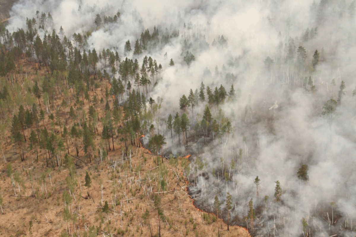 В БРАТСКОМ РАЙОНЕ ЗАФИКСИРОВАНЫ ПЕРВЫЕ ЛЕСНЫЕ ПОЖАРЫ
