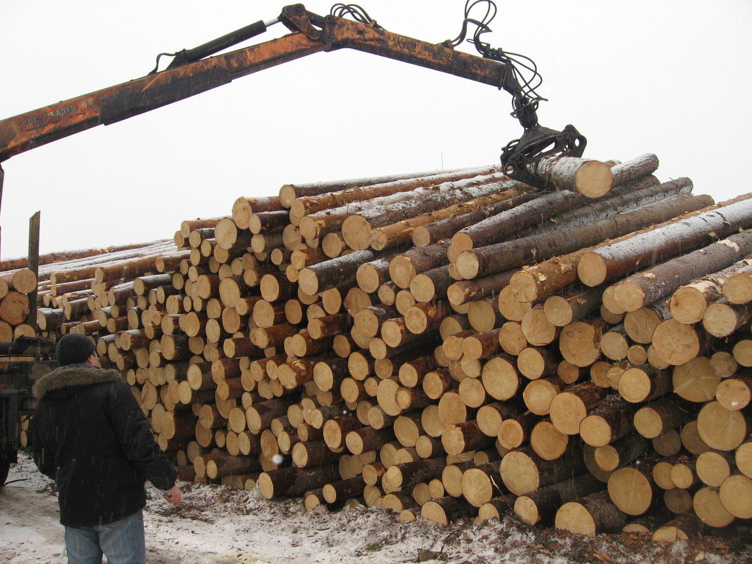 СЛЕДОВАТЕЛИ «РАСКРУТИЛИ» ДЕЛО БРАТЧАНКИ, УКЛОНЯВШЕЙСЯ ОТ УПЛАТЫ НДС, ОБНАРУЖИВ ЕЩЕ И КОНТРАБАНДУ